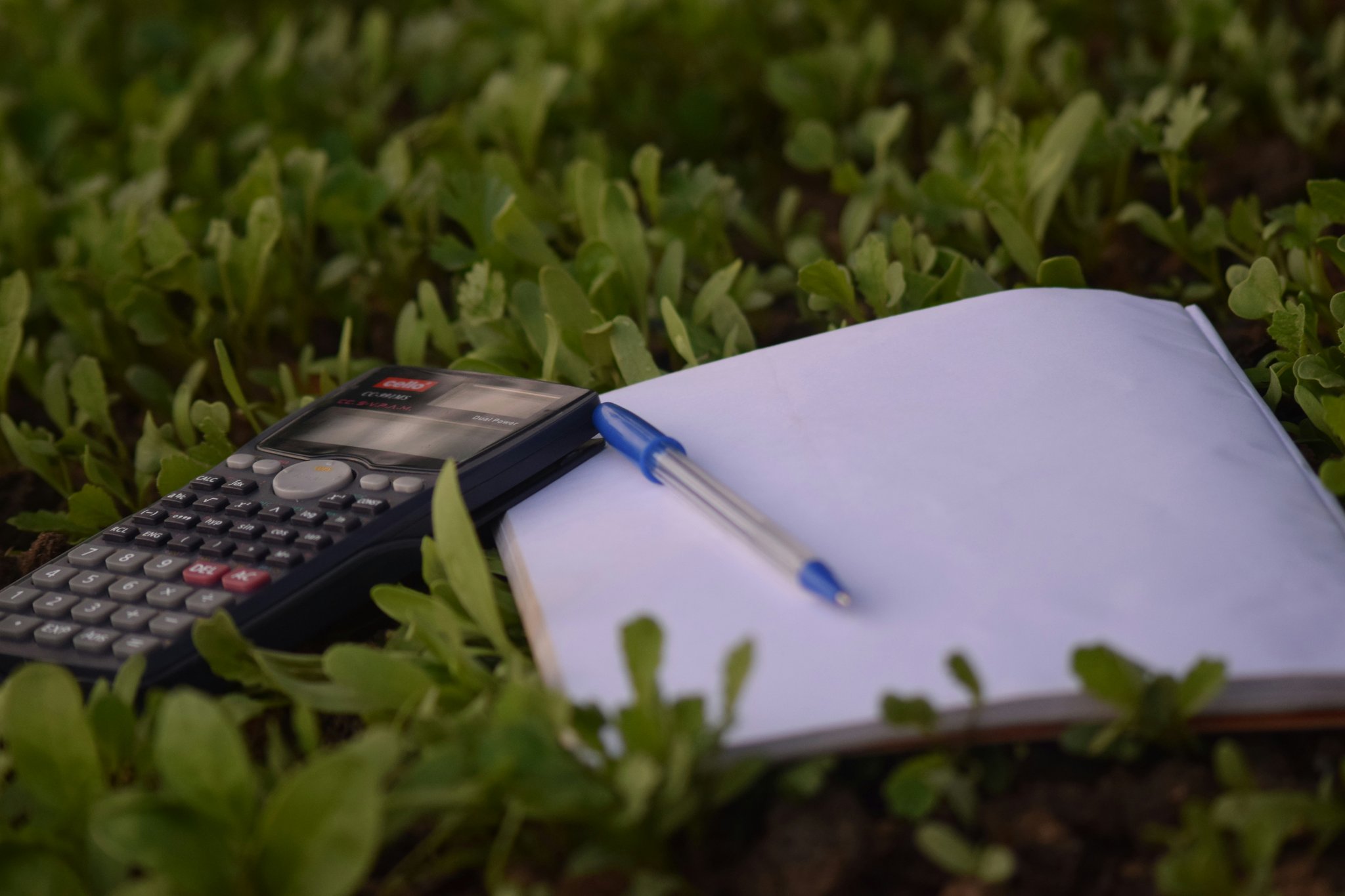Mastering Student Loan Debt Budgeting: The Ultimate Guide to Budgeting Courses